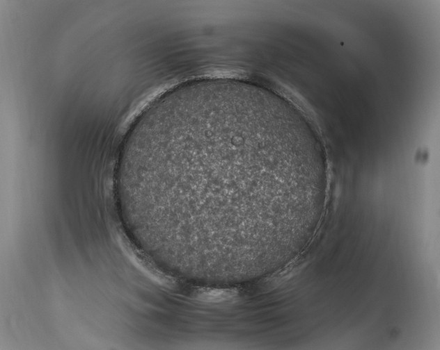X0000115340155200911161840