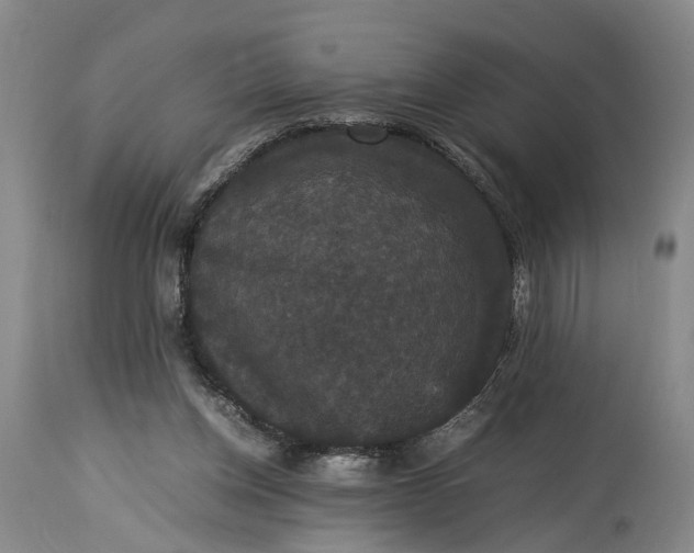 X0000115340158200911161840