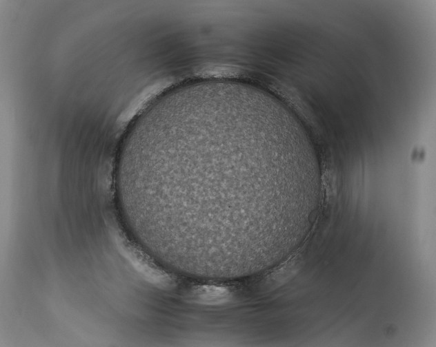 X0000115340159200911161840