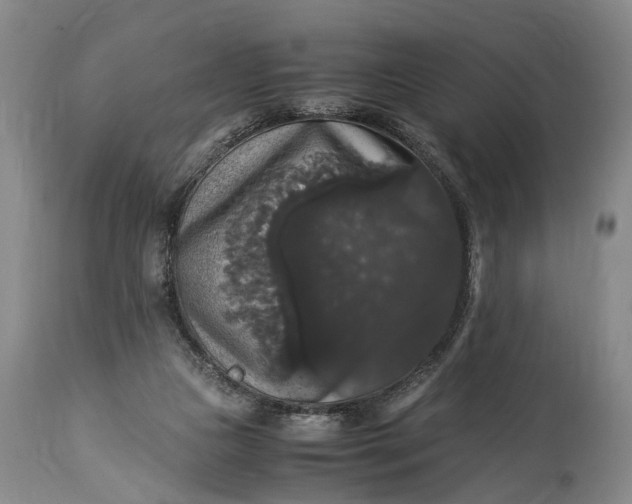 X0000115340161200911161840