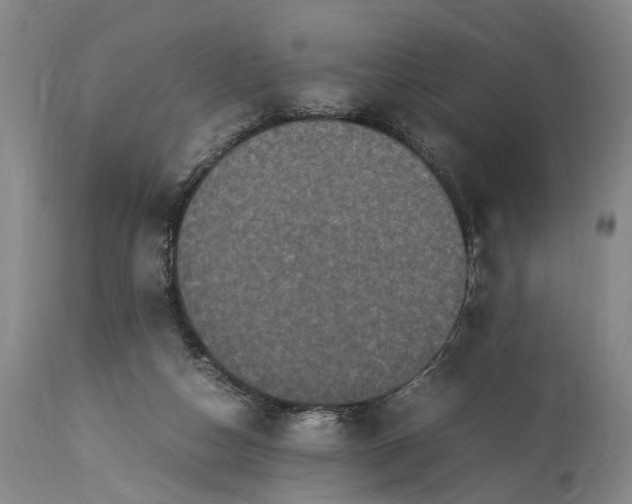 X0000115340162200911161840