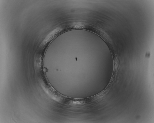 X0000115340163200911161840