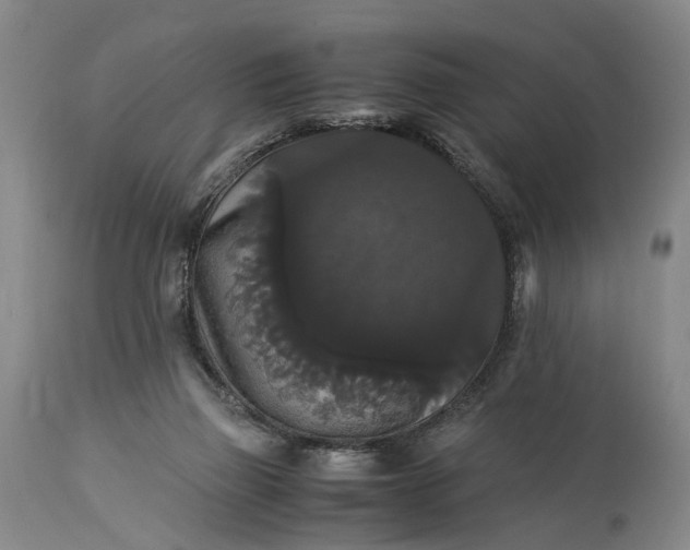 X0000115340165200911161840