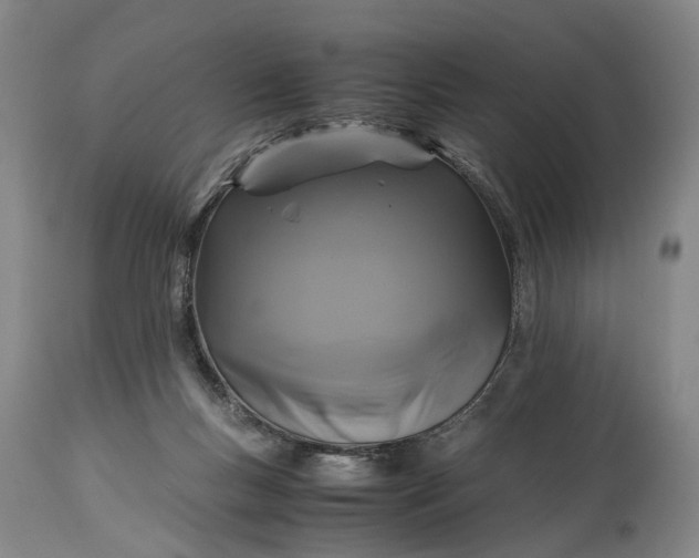 X0000115340167200911161840