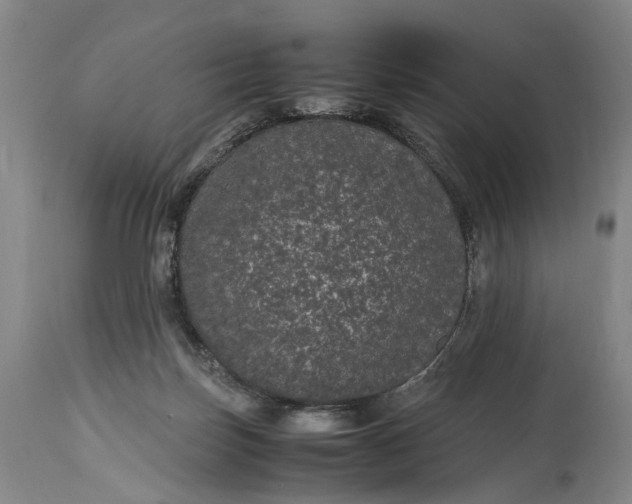 X0000115340171200911161840