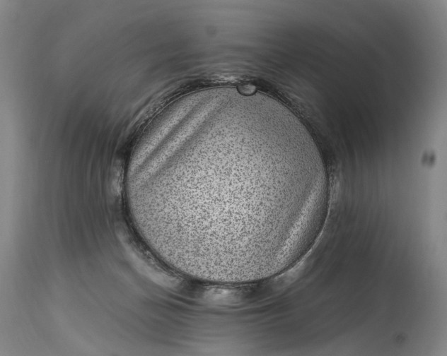 X0000115340174200911161840