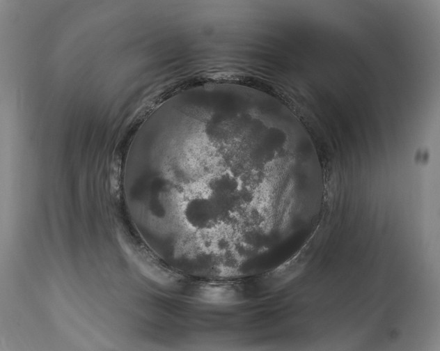 X0000115340175200911161840