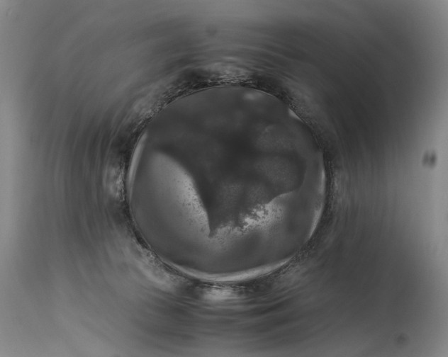 X0000115340177200911161840