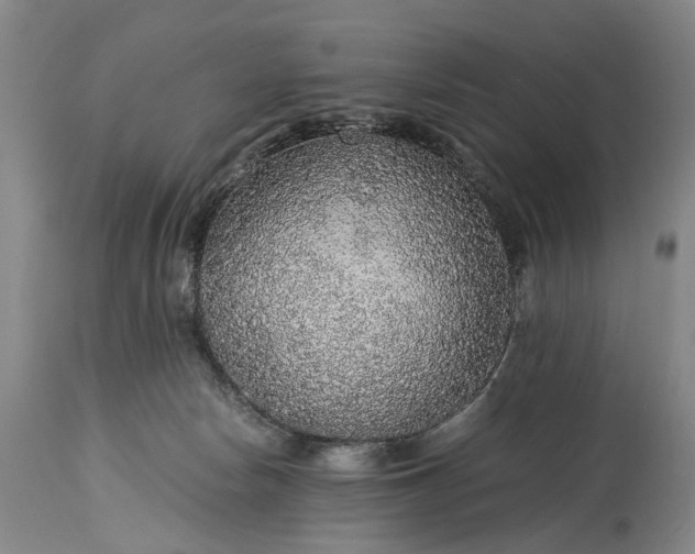 X0000115340178200911161841