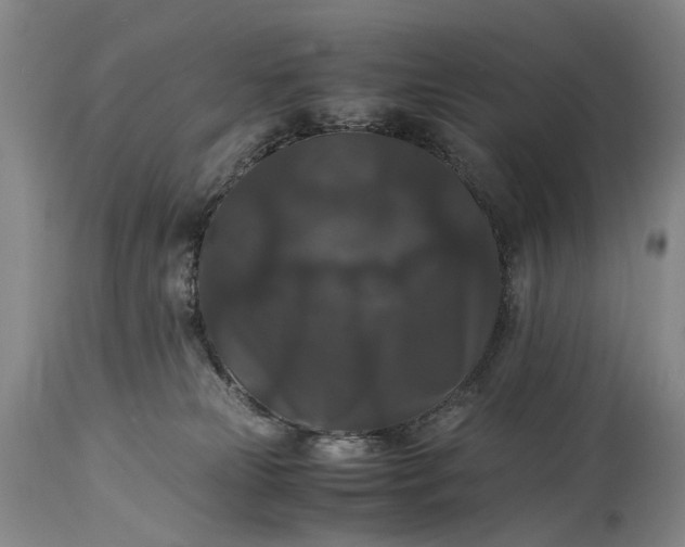 X0000115340181200911161841