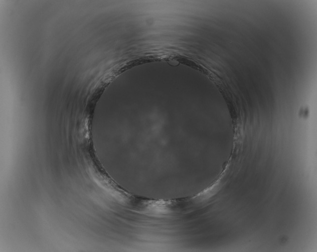 X0000115340182200911161841