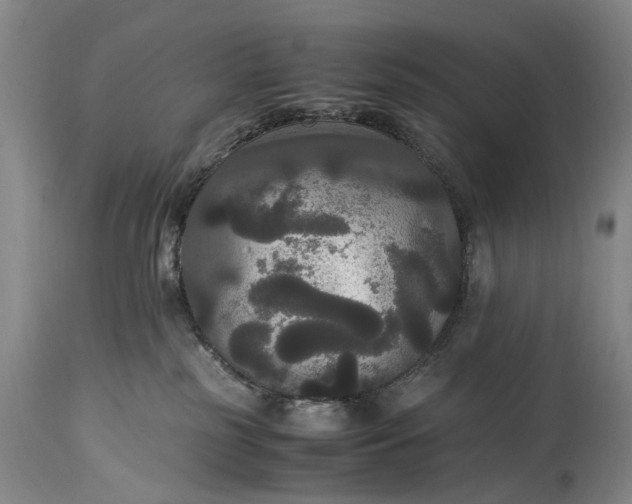 X0000115340185200911161841