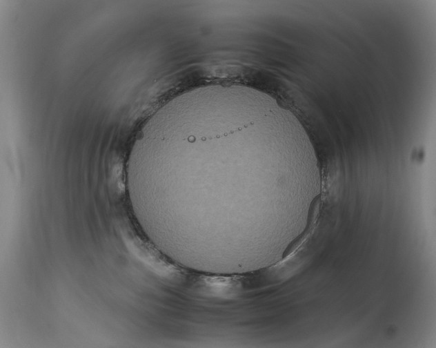 X0000115340187200911161841