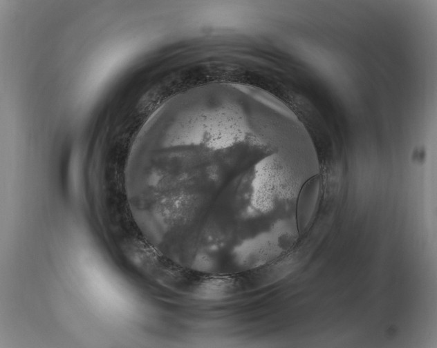 X0000115340189200911161841