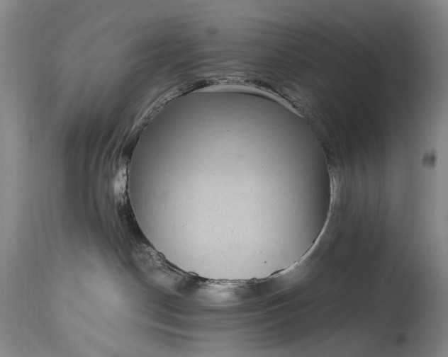 X0000115340190200911161841