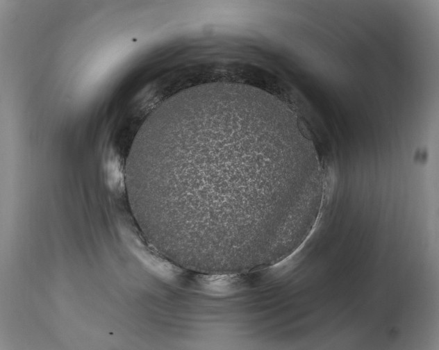 X0000115340191200911161841