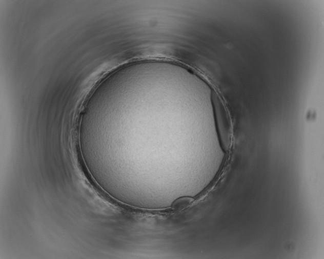 X0000115340193200911161840