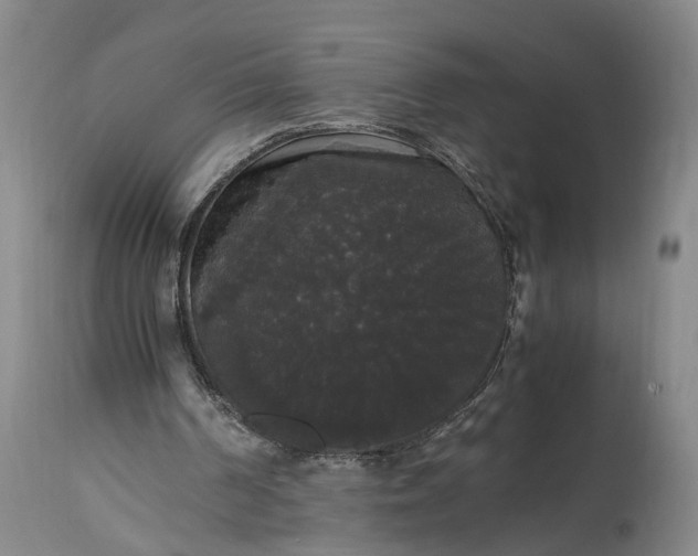 X0000115340194200911161840
