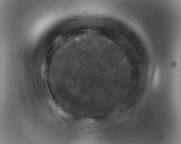 X0000115340195200911161840