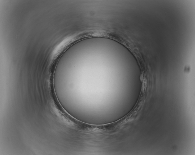 X0000115340197200911161840