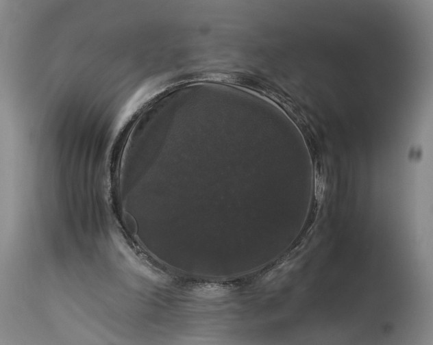 X0000115340198200911161840
