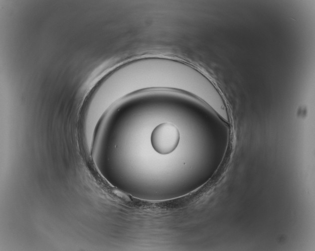 X0000115340199200911161840