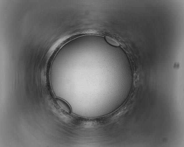 X0000115340200200911161840
