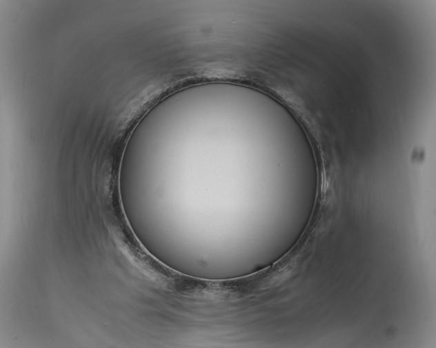 X0000115340201200911161840