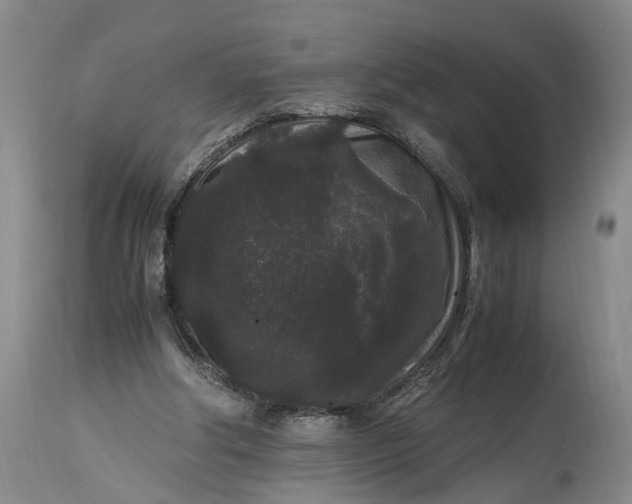 X0000115340202200911161840