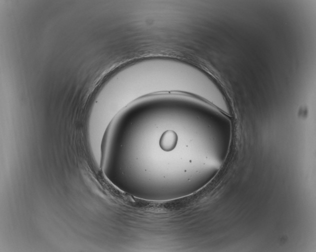 X0000115340203200911161840