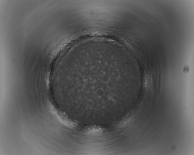 X0000115340206200911161840