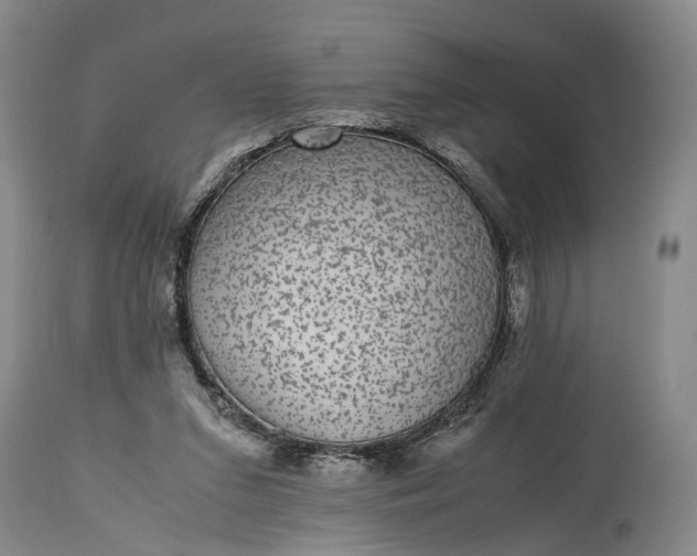 X0000115340207200911161840