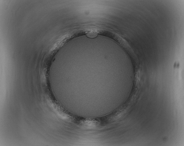X0000115340209200911161840