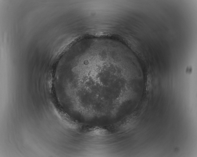X0000115340210200911161840