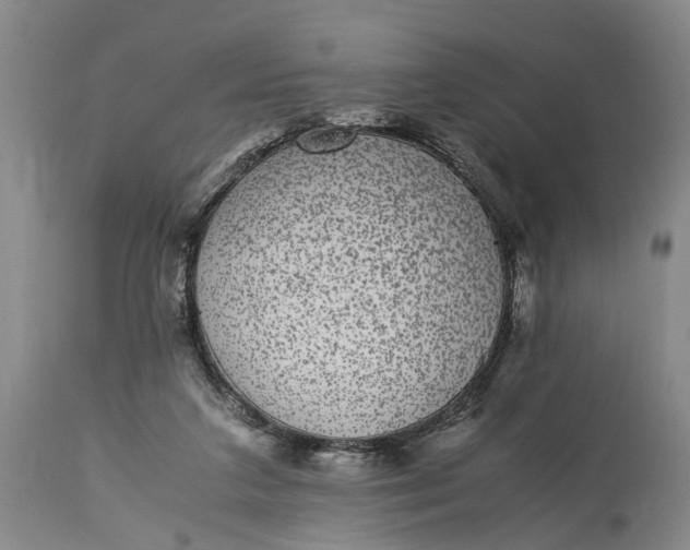 X0000115340211200911161840