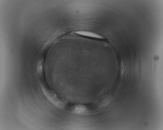 X0000115340214200911161840