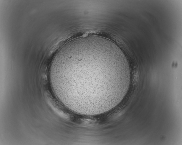X0000115340215200911161840