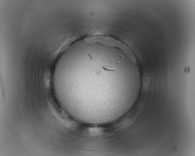 X0000115340216200911161840
