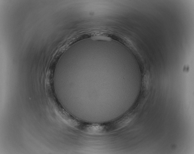 X0000115340217200911161840
