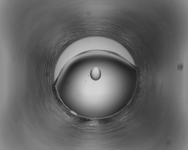 X0000115340219200911161840
