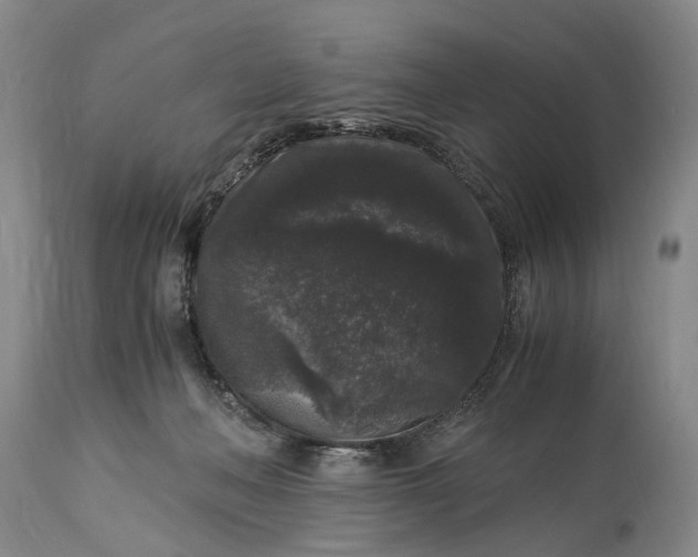 X0000115340222200911161839