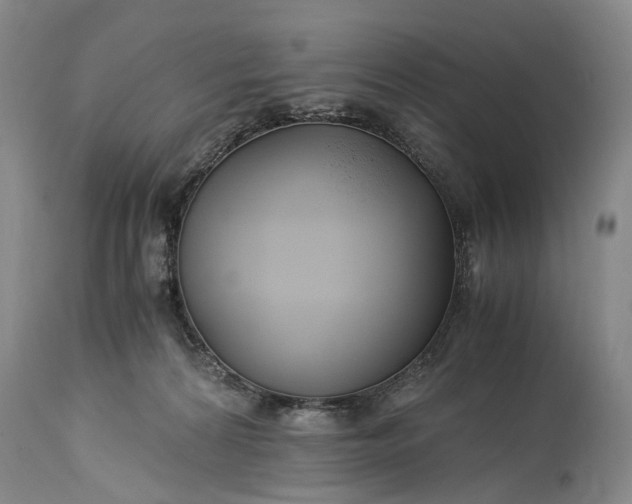 X0000115340224200911161839