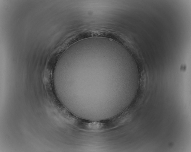 X0000115340225200911161839