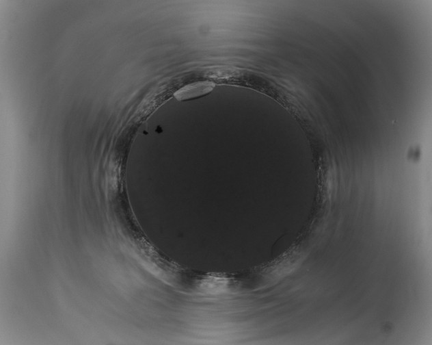 X0000115340227200911161839