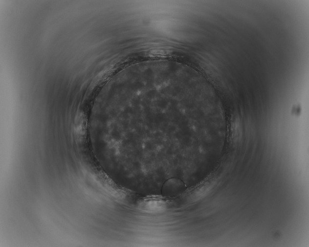 X0000115340228200911161839