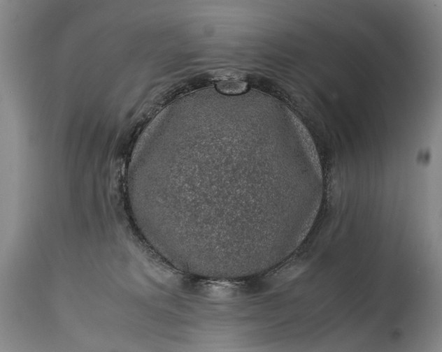 X0000115340229200911161839