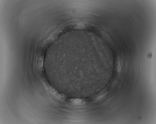 X0000115340230200911161839
