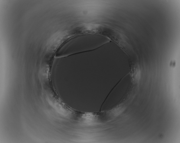 X0000115340231200911161839