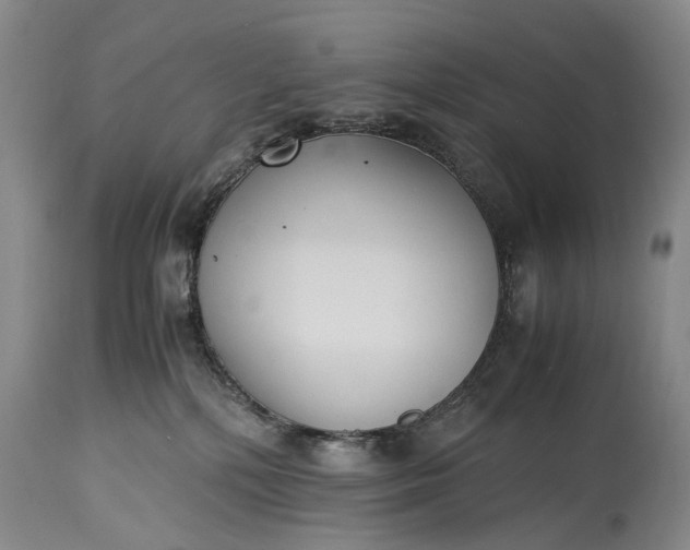 X0000115340232200911161839