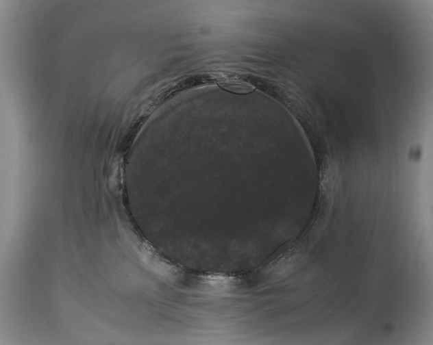 X0000115340233200911161839
